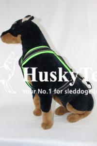 HTX-Speed HuskyTec